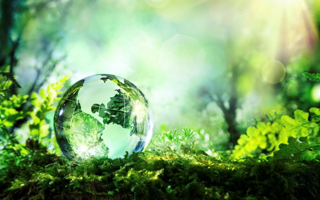 Going Green at CWB!