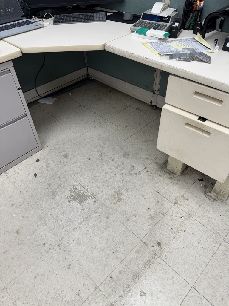 newburyport-strip-and-wax-before