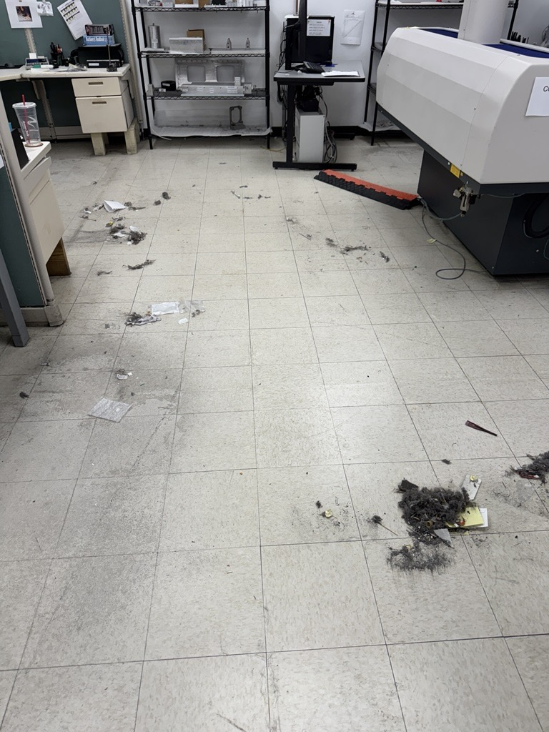 newburyport-strip-and-wax-before